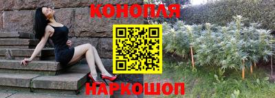 стафф Волгодонск