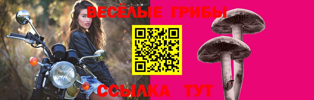 Галлюциногенные грибы ЛСД  Вход с VPN  Рубцовск 